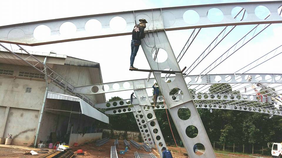 ราคาเซลลูล่าร์บีม