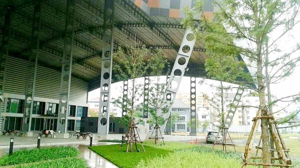 เซลลูล่าร์ บีม