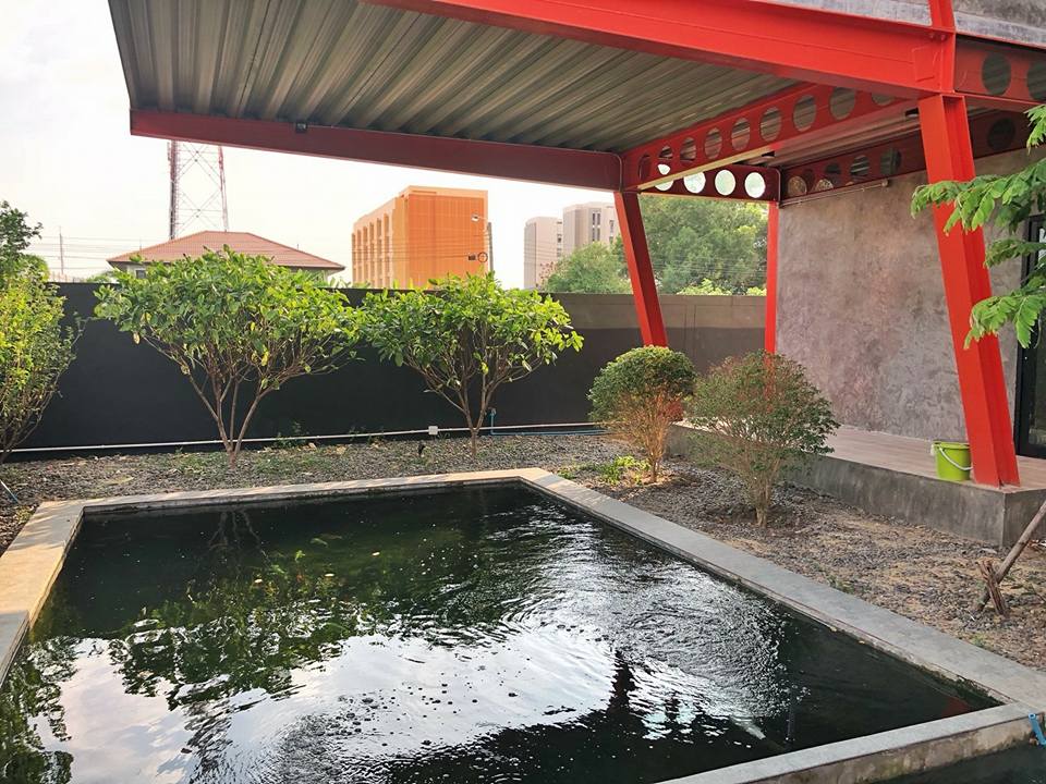 เซลลูล่าร์ บีม